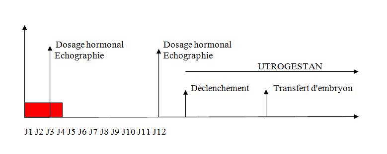 cycle spontane TEC