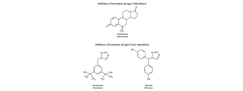 Anti aromatases