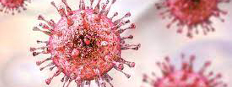 Cytomegalovirus