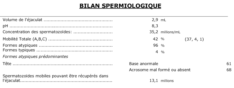 Spermogramme