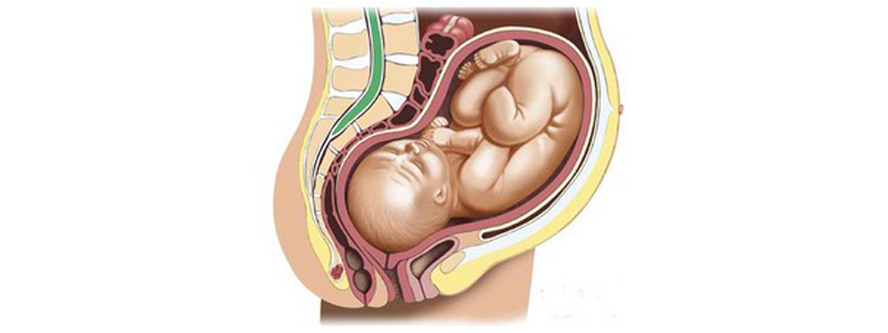 Le monitoring fœtal, un examen utile pendant la grossesse et l'accouchement