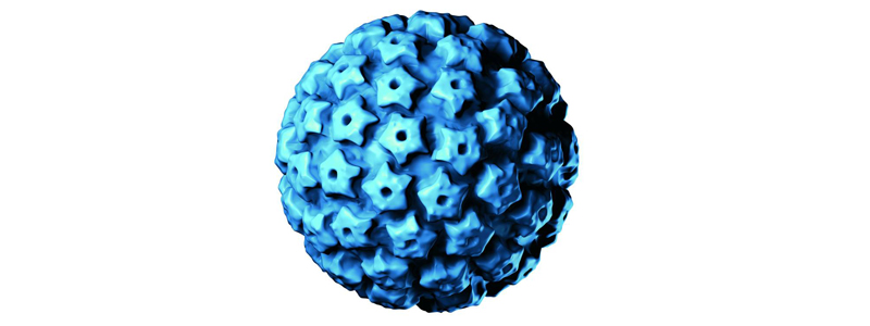 hpv