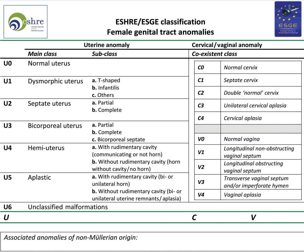 ESHRE ESGE