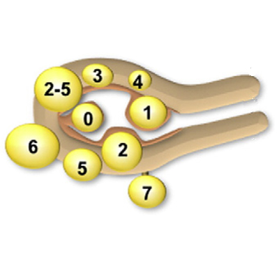 classification figo 2011 fibromes