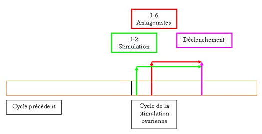 protocole antagonistes