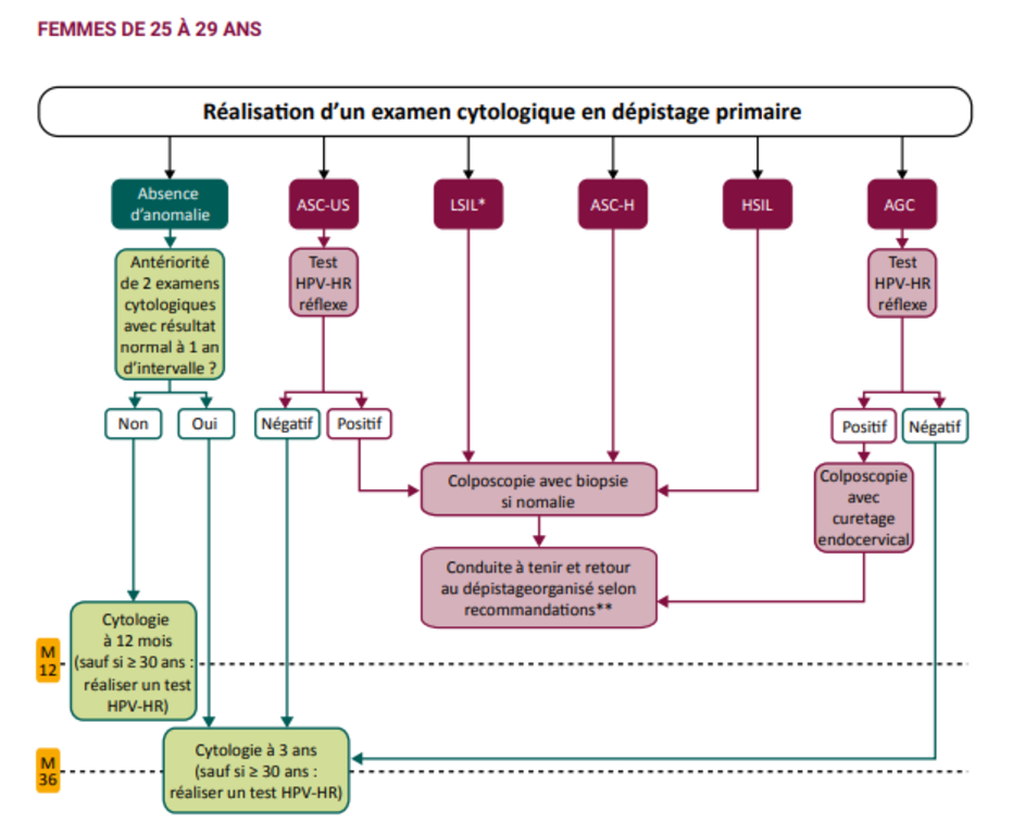 Algorithme de dépistage pour les femmes de 25 à 29 ans