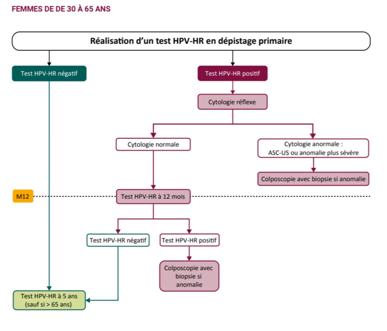 Colposcopie - Docteur Benchimol : Gynécologue-obstétricien à Paris ...